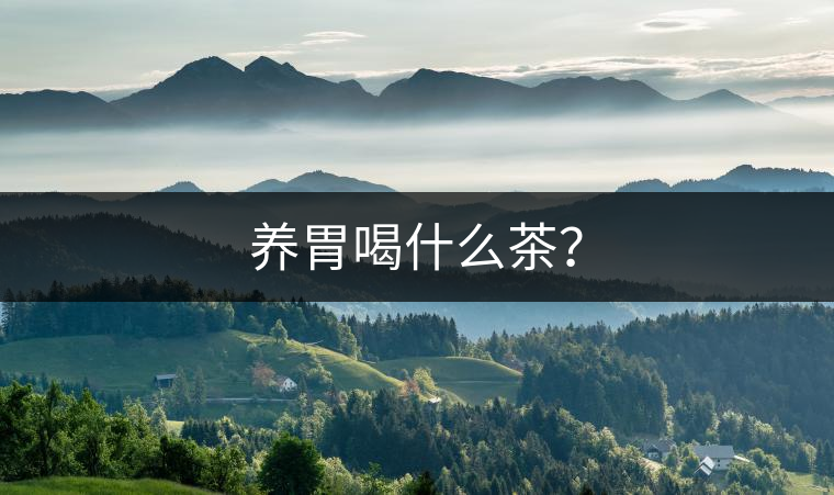 養(yǎng)胃喝什么茶？