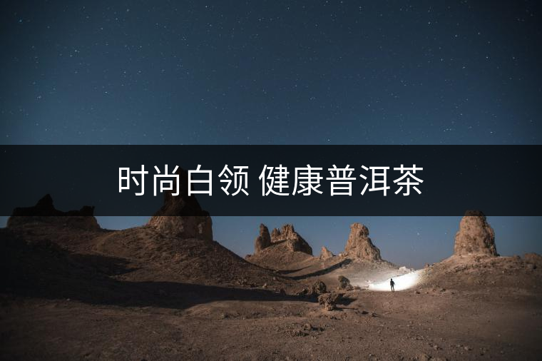 時尚白領 健康普洱茶 時尚白領 健康普洱茶