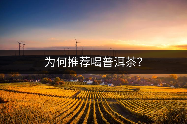 為何推薦喝普洱茶？