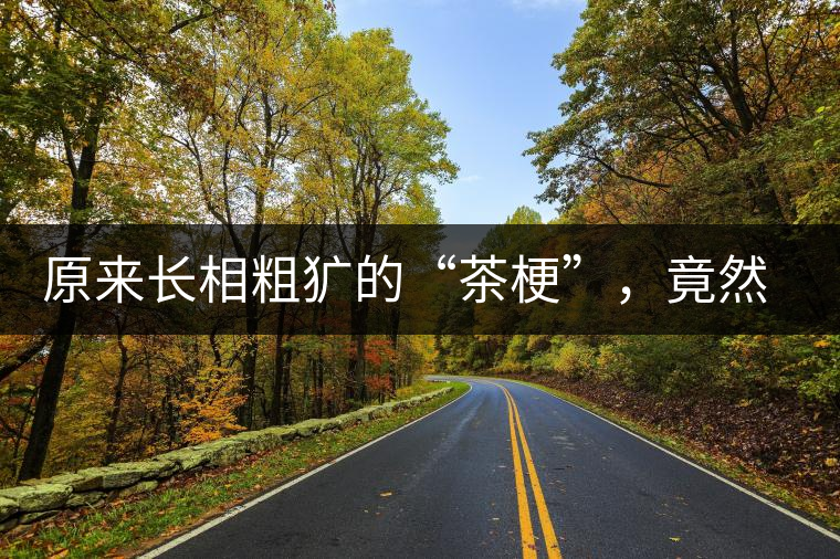 原來(lái)長(zhǎng)相粗獷的“茶梗”，竟然還有這么多的作用