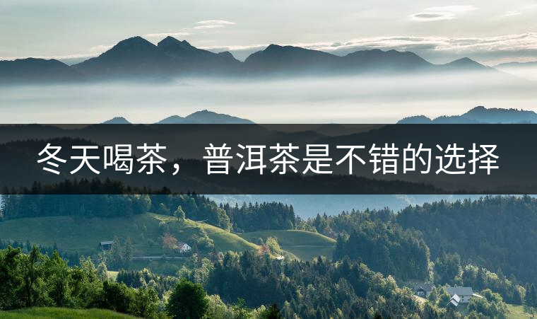 冬天喝茶，普洱茶是不錯(cuò)的選擇