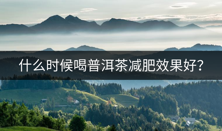 什么時(shí)候喝普洱茶減肥效果好？