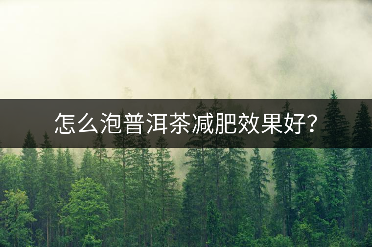 怎么泡普洱茶減肥效果好？