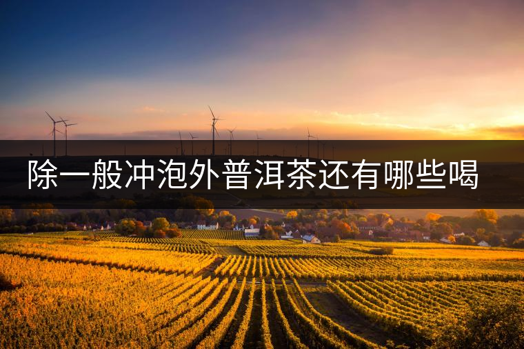 除一般沖泡外普洱茶還有哪些喝法？