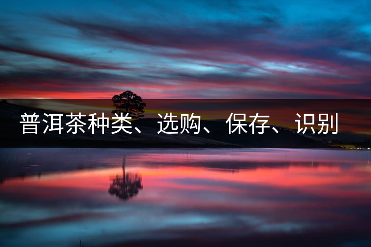 普洱茶種類(lèi)、選購(gòu)、保存、識(shí)別、沖泡