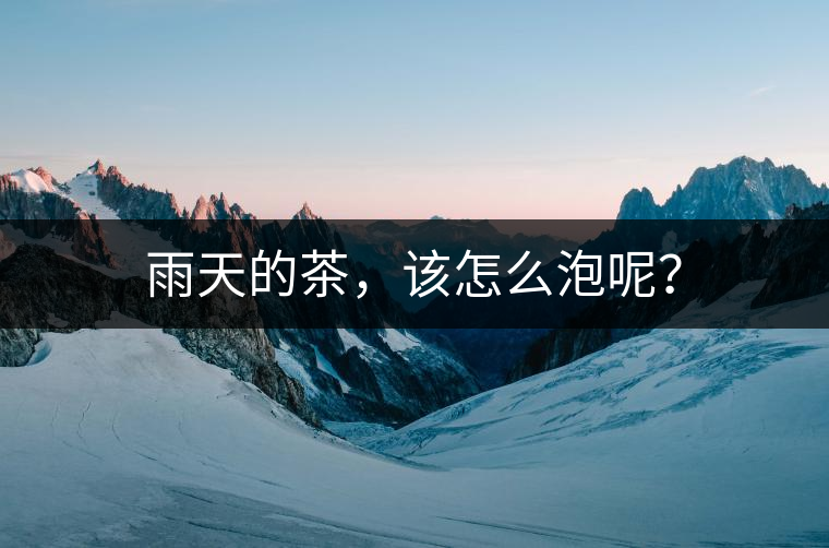 雨天的茶，該怎么泡呢？