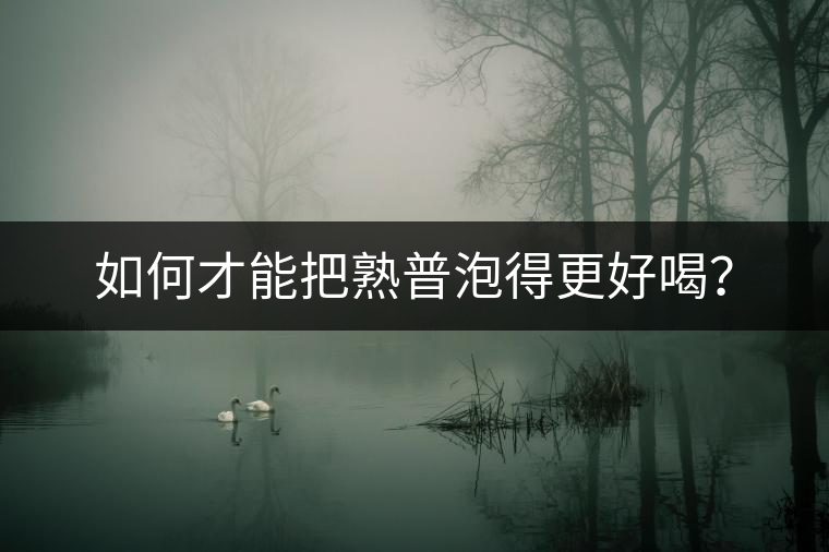 如何才能把熟普泡得更好喝？