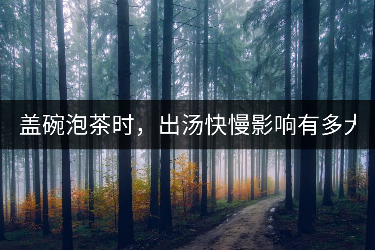 蓋碗泡茶時，出湯快慢影響有多大？