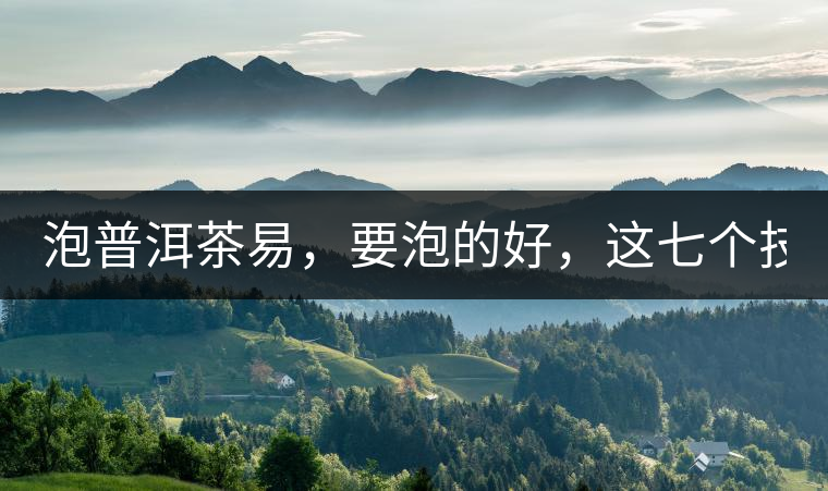 泡普洱茶易，要泡的好，這七個(gè)技巧很重要！