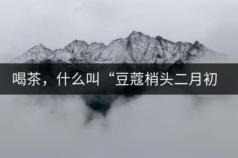 喝茶，什么叫“豆蔻梢頭二月初”？