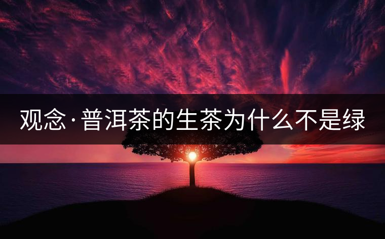 觀念·普洱茶的生茶為什么不是綠茶？