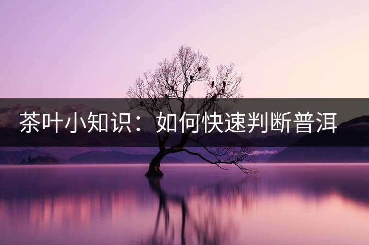 茶葉小知識：如何快速判斷普洱茶品級高低？