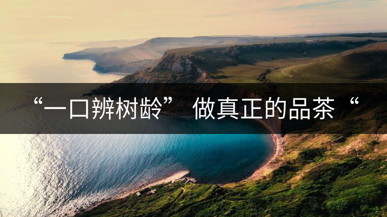 “一口辨樹齡” 做真正的品茶“大師”！