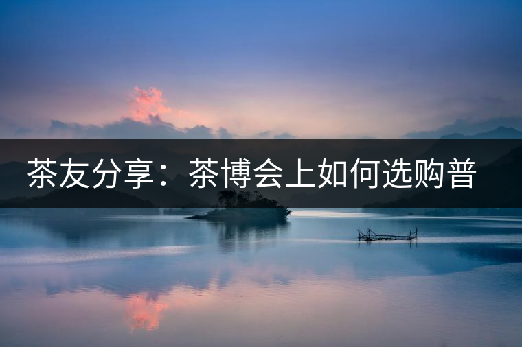 茶友分享：茶博會(huì)上如何選購普洱茶？