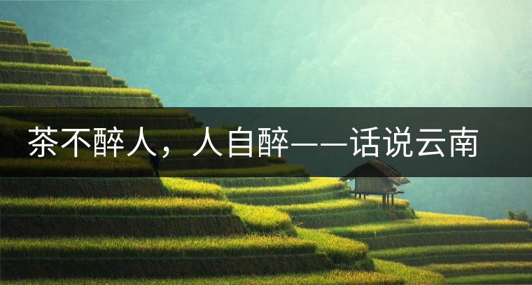 茶不醉人，人自醉——話說(shuō)云南冰島普洱茶