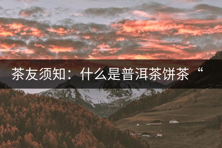 茶友須知：什么是普洱茶餅茶“八病”？如何鑒別？