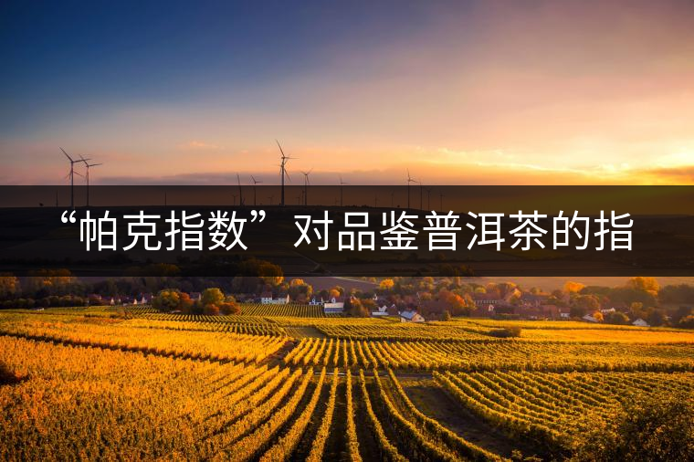 “帕克指數(shù)”對(duì)品鑒普洱茶的指導(dǎo)意義在哪里？「跨界有道」