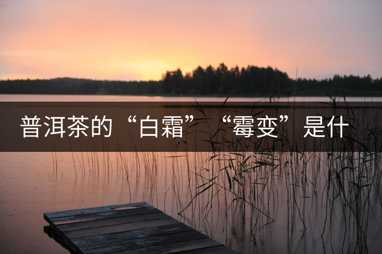 普洱茶的“白霜”“霉變”是什么鬼？