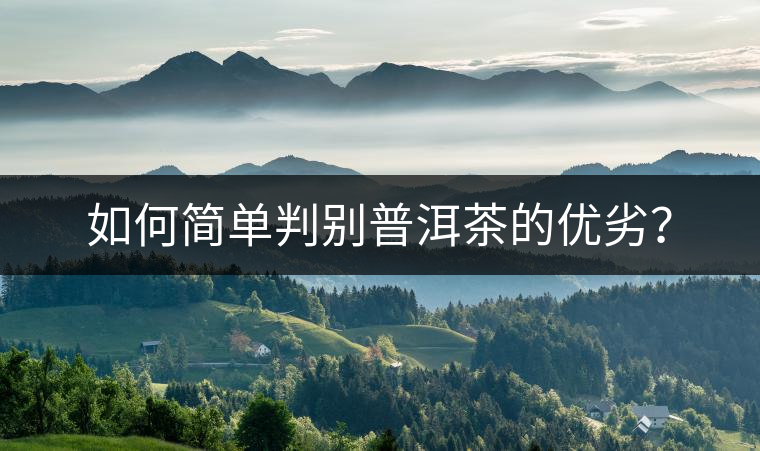 如何簡(jiǎn)單判別普洱茶的優(yōu)劣？