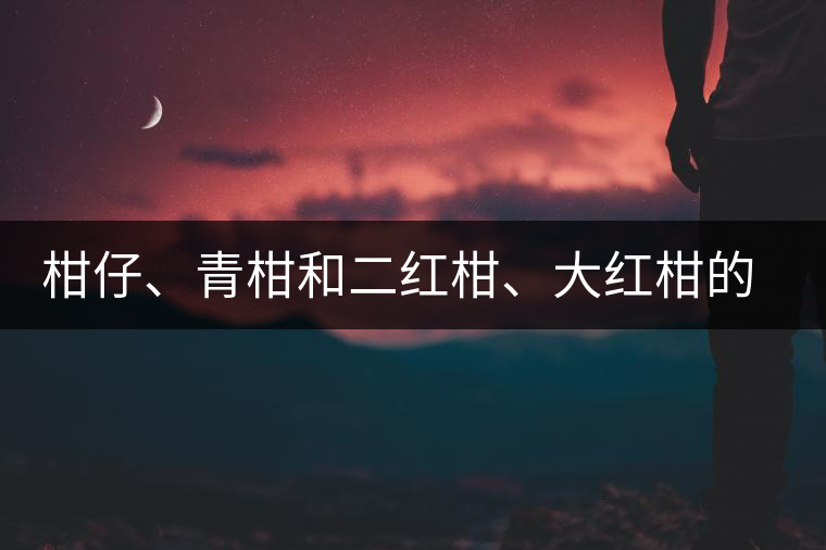 柑仔、青柑和二紅柑、大紅柑的區(qū)別，你可知道？