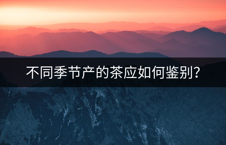 不同季節(jié)產(chǎn)的茶應如何鑒別？