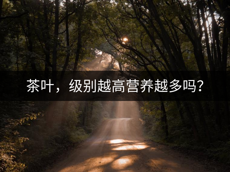 茶葉，級別越高營養(yǎng)越多嗎？