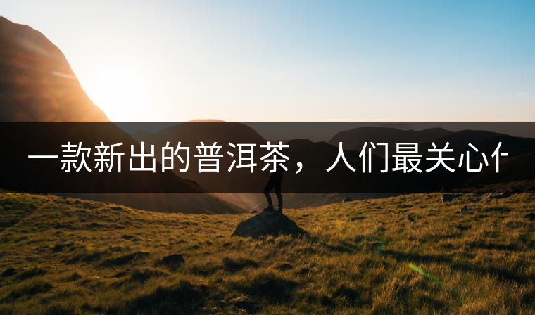 一款新出的普洱茶，人們最關(guān)心什么?