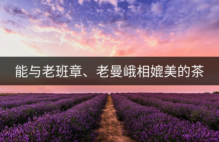 能與老班章、老曼峨相媲美的茶