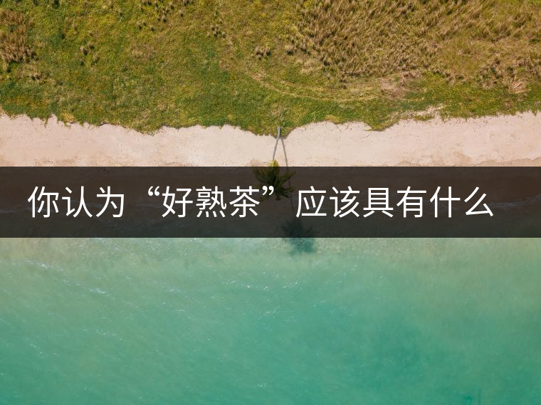 你認為“好熟茶”應(yīng)該具有什么樣的標準？