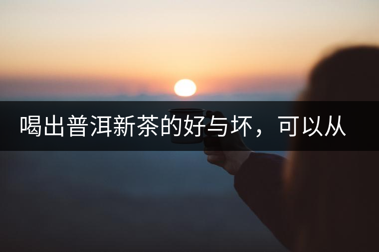 喝出普洱新茶的好與壞，可以從這五點(diǎn)出發(fā)
