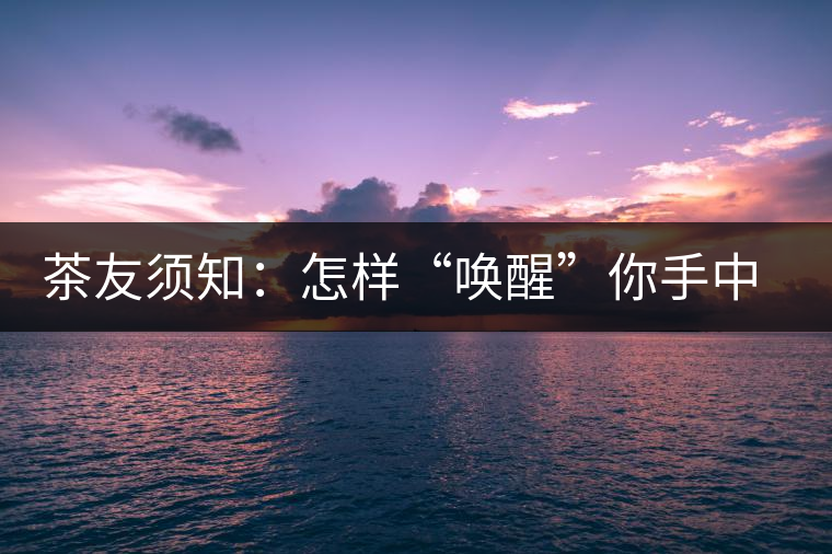 茶友須知：怎樣“喚醒”你手中的那一餅普洱茶？