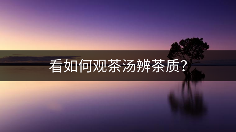 看如何觀茶湯辨茶質(zhì)？