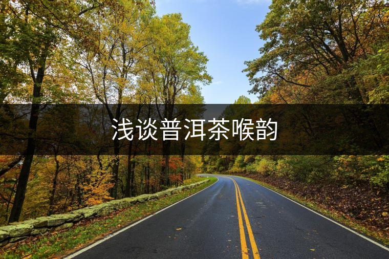 淺談普洱茶喉韻