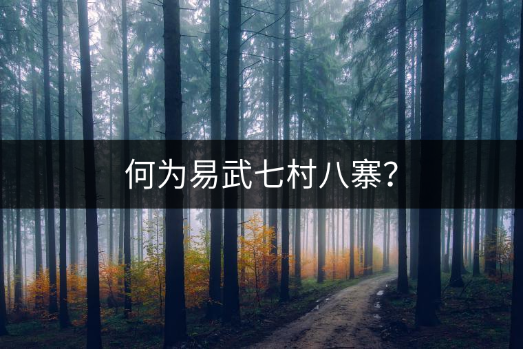 何為易武七村八寨？