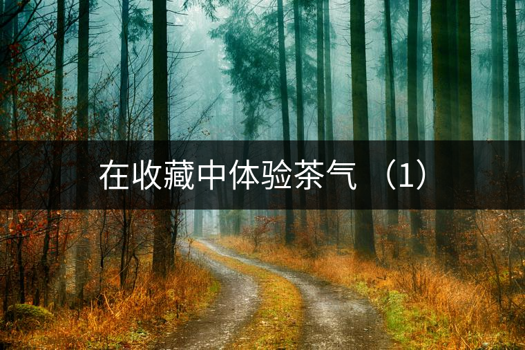 在收藏中體驗茶氣 (1) 在收藏中體驗茶氣 (1)