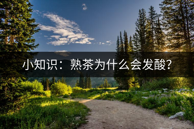 小知識(shí)：熟茶為什么會(huì)發(fā)酸？