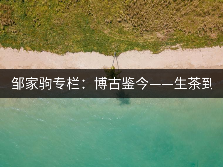 鄒家駒專欄：博古鑒今——生茶到底是不是普洱茶？