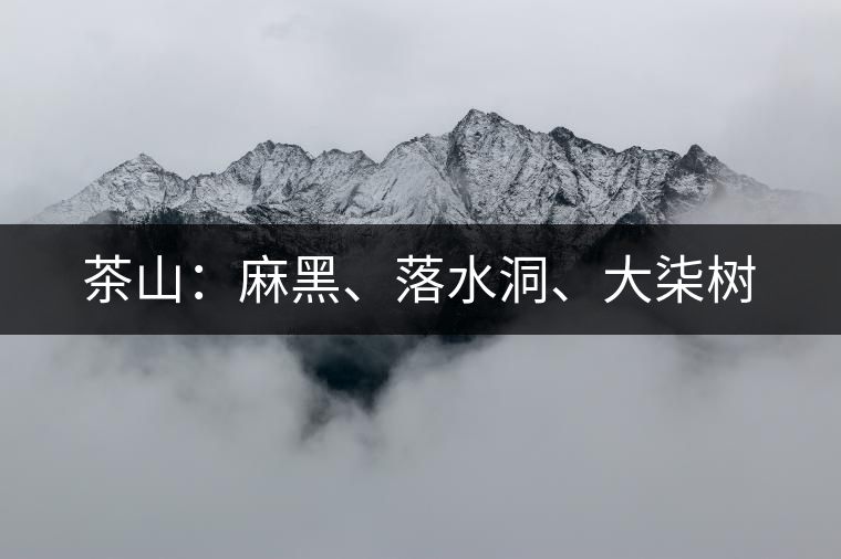 茶山：麻黑、落水洞、大柒樹