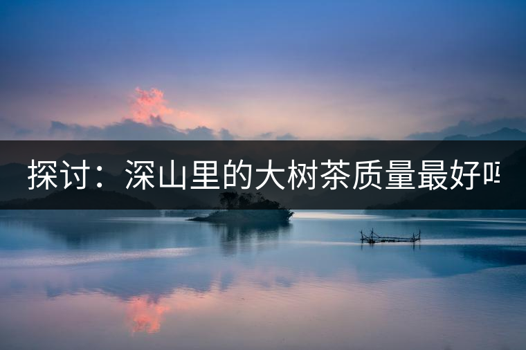 探討：深山里的大樹茶質(zhì)量最好嗎？