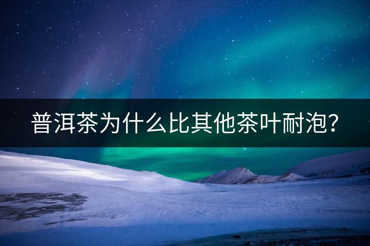 普洱茶為什么比其他茶葉耐泡？