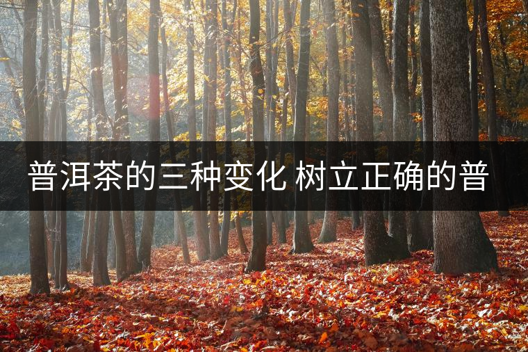 普洱茶的三種變化 樹(shù)立正確的普洱茶觀