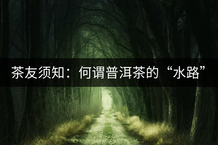 茶友須知：何謂普洱茶的“水路”？