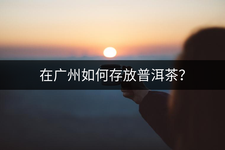 在廣州如何存放普洱茶？