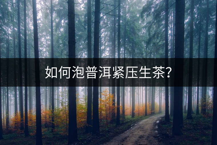 如何泡普洱緊壓生茶？