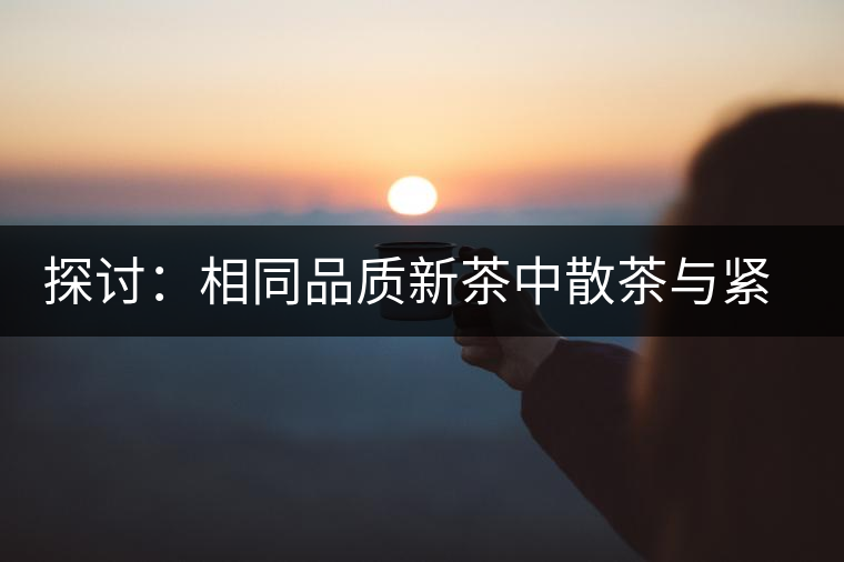 探討：相同品質(zhì)新茶中散茶與緊壓茶哪個好？