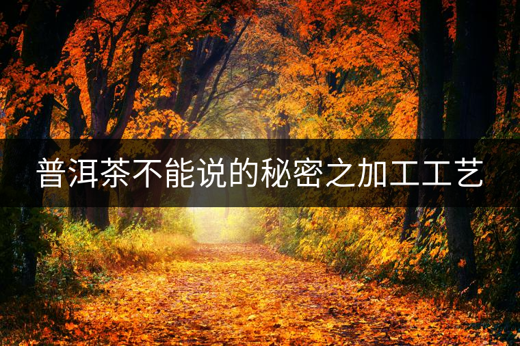 普洱茶不能說的秘密之加工工藝 普洱茶不能說的秘密之加工工藝