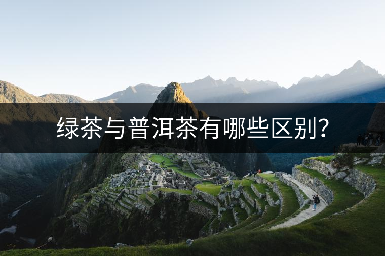 綠茶與普洱茶有哪些區(qū)別？