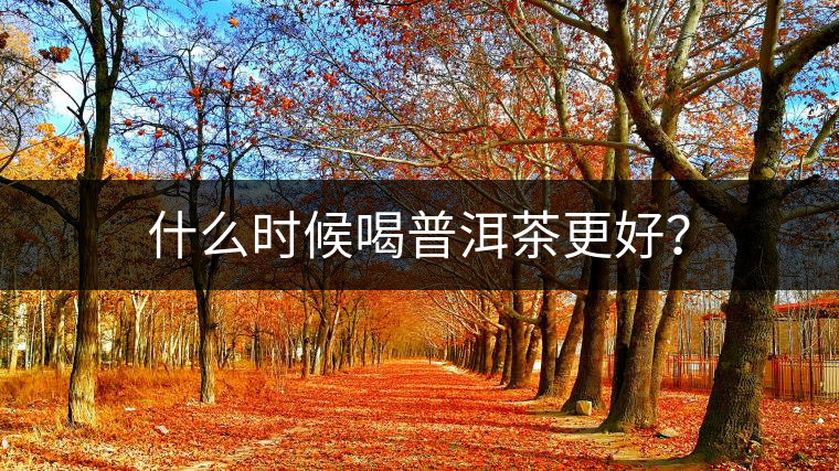 什么時(shí)候喝普洱茶更好？