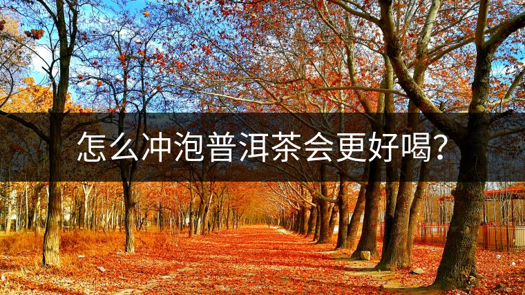 怎么沖泡普洱茶會更好喝？