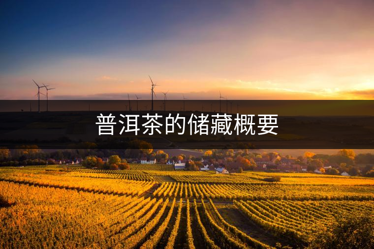 普洱茶的儲(chǔ)藏概要 普洱茶的儲(chǔ)藏概要